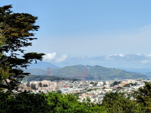 Golden Gate Bridge from Buena Vista park